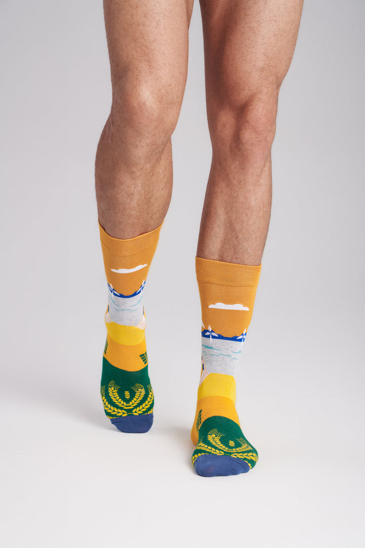 Collectible Art Inspired Crew Socks