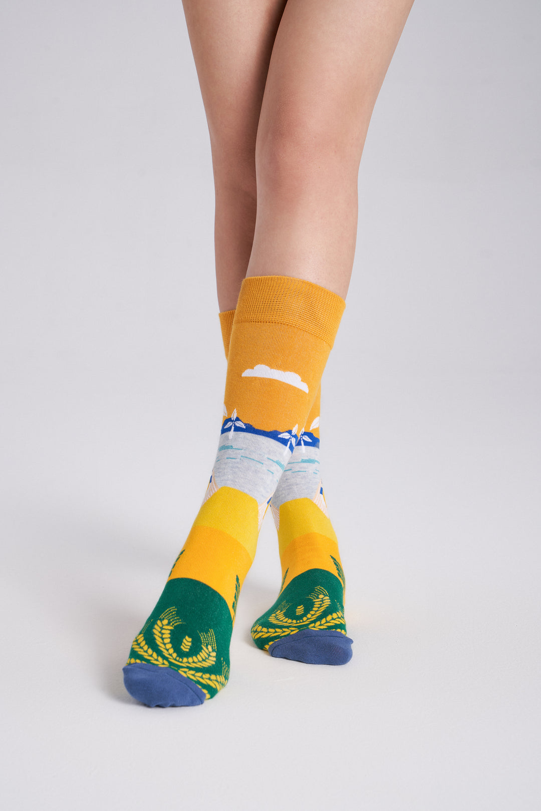 Collectible Art Inspired Crew Socks