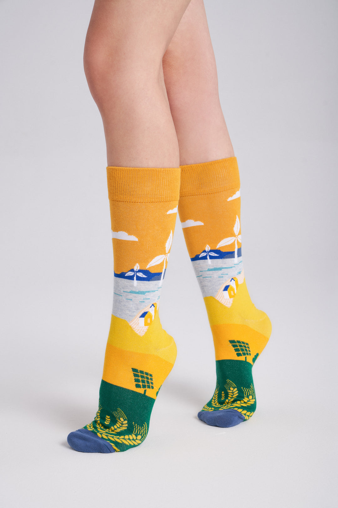 Collectible Art Inspired Crew Socks