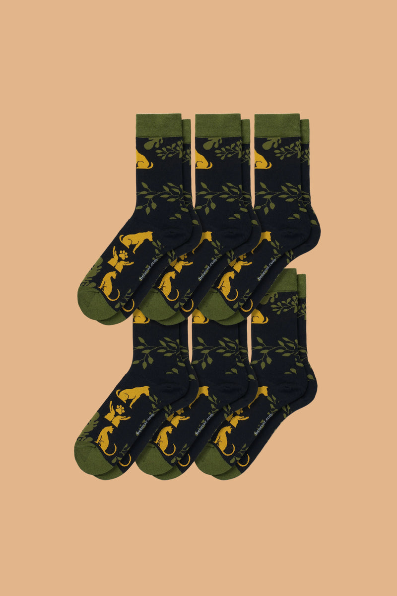 6-Pack of collectible art crew socks featuring animal designs