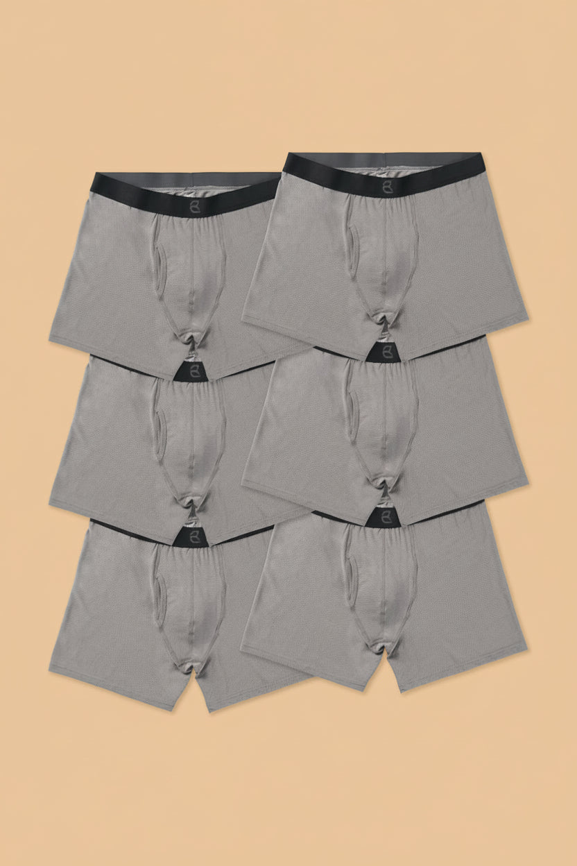 breevar mesh modal all day boxer brief gray 6-pack